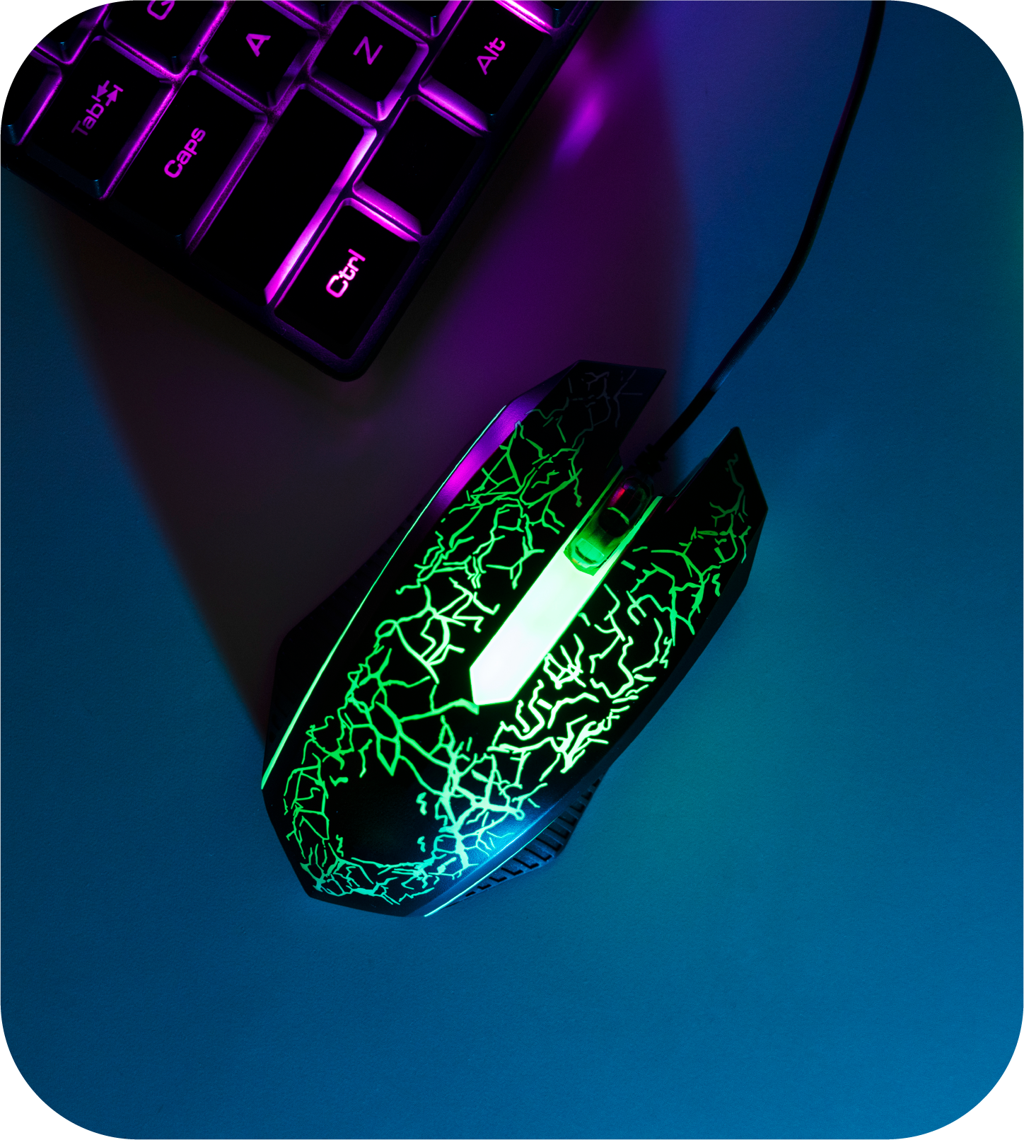 Mouse gamer
